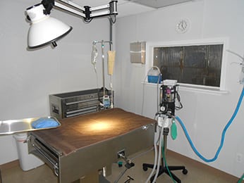 Surgical Suite at Our Animal Hospital