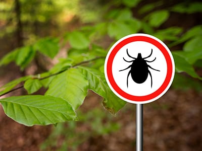 Tick prevention for dogs and cats in Greenwood, IN